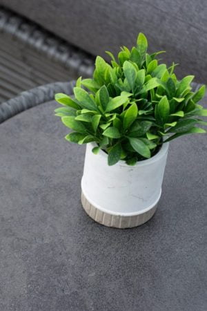 стол для бассейна