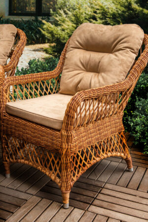 кресло из мебели монте карло