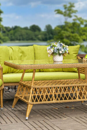 Комплект набор мебели из искусственного ротанга париж