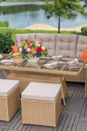 Мебель плетеная дачная Фейм Про